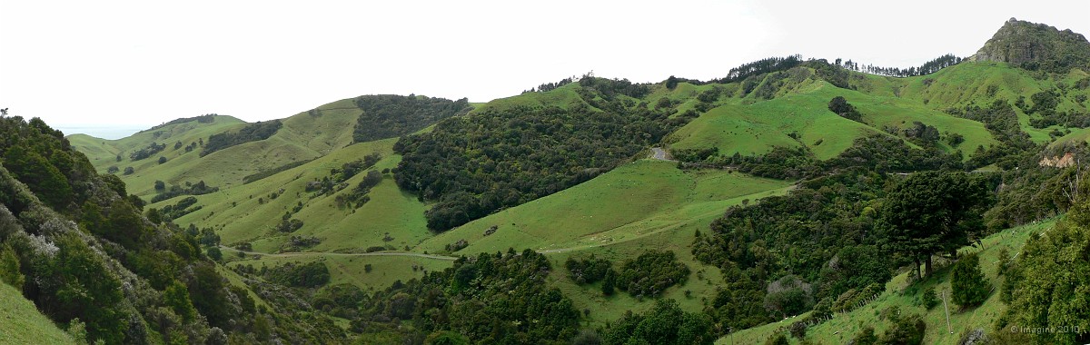 3.8- Paysage sur la route de Coromandel.JPG